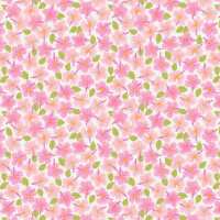 Read The Sewing Studio Reviews