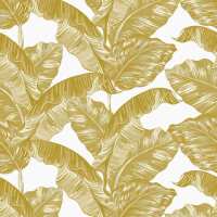 Read Lust Home Reviews
