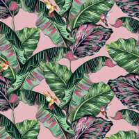 Read Lust Home Reviews