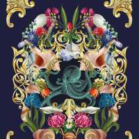 Read Lust Home Reviews