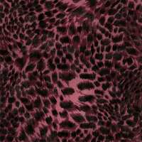 Read Lust Home Reviews