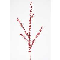 Read HouseFloral Reviews