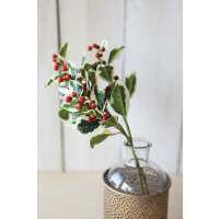 Read HouseFloral Reviews