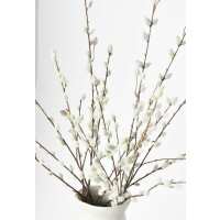 Read HouseFloral Reviews