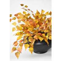 Read HouseFloral Reviews