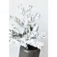 Read HouseFloral Reviews