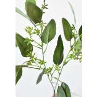 Read HouseFloral Reviews