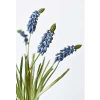 Read HouseFloral Reviews