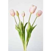 Read HouseFloral Reviews