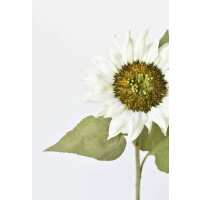 Read HouseFloral Reviews