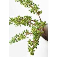 Read HouseFloral Reviews