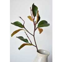 Read HouseFloral Reviews