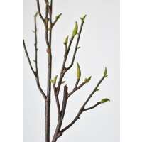 Read HouseFloral Reviews