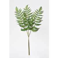 Read HouseFloral Reviews