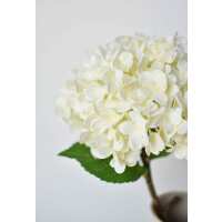 Read HouseFloral Reviews