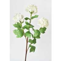 Read HouseFloral Reviews