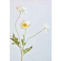 Read HouseFloral Reviews