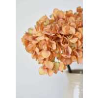 Read HouseFloral Reviews