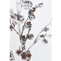 Read HouseFloral Reviews