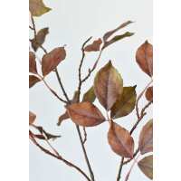 Read HouseFloral Reviews