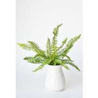 Read HouseFloral Reviews