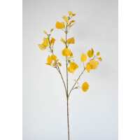 Read HouseFloral Reviews