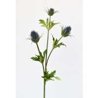 Read HouseFloral Reviews