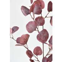 Read HouseFloral Reviews
