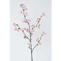 Read HouseFloral Reviews