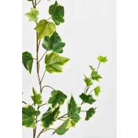 Read HouseFloral Reviews