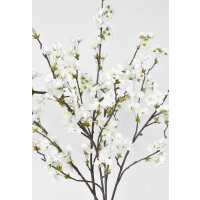 Read HouseFloral Reviews