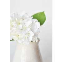 Read HouseFloral Reviews