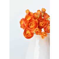 Read HouseFloral Reviews