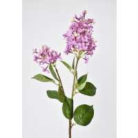 Read HouseFloral Reviews