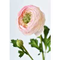 Read HouseFloral Reviews