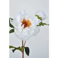 Read HouseFloral Reviews