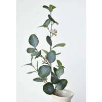 Read HouseFloral Reviews