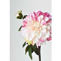 Read HouseFloral Reviews