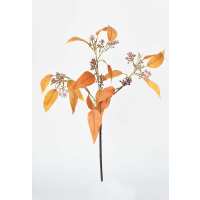 Read HouseFloral Reviews