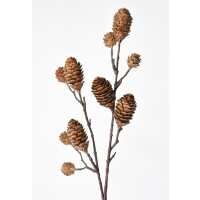 Read HouseFloral Reviews