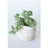 Read HouseFloral Reviews