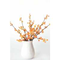 Read HouseFloral Reviews