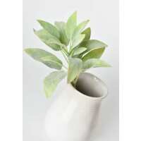 Read HouseFloral Reviews