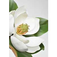 Read HouseFloral Reviews