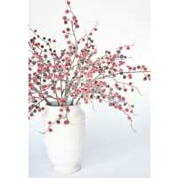 Read HouseFloral Reviews