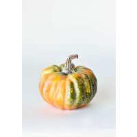 Read HouseFloral Reviews