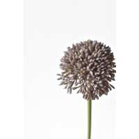 Read HouseFloral Reviews