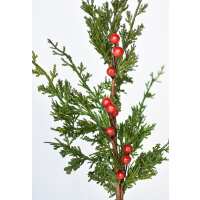 Read HouseFloral Reviews