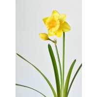 Read HouseFloral Reviews