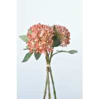 Read HouseFloral Reviews
